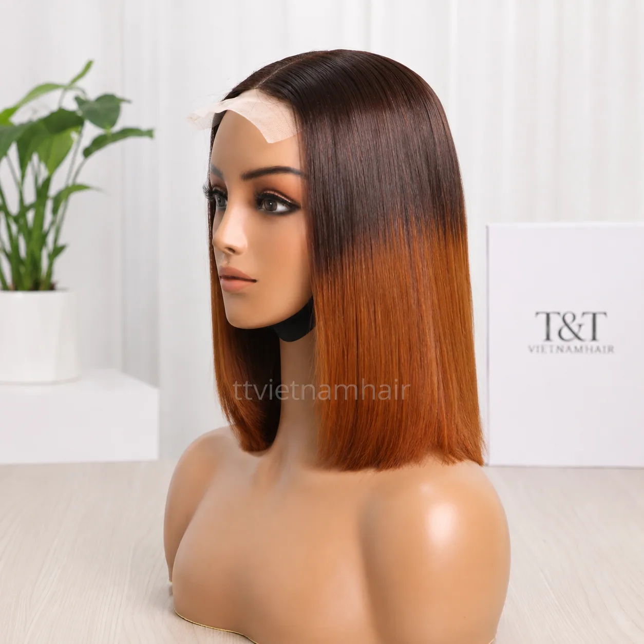 Ombre Brown 2×6 Closure Bob Wig by T&T VIETNAMHAIR